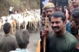 மாடு மேய்க்கும் போராட்டம் நடத்திய சீமான் - வனத்துறையினருக்கு விடுத்த எச்சரிக்கை