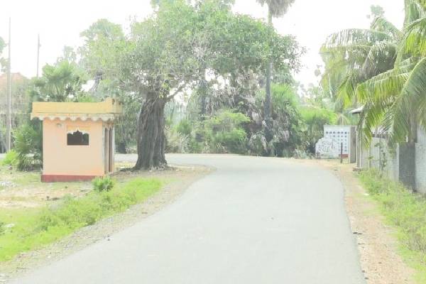 ஆபத்தாக மாறும் யாழ். உடுத்துறை வேம்படி வீதி வளைவு | Jaffna Uduthurai Vempady Road Curve Turn Dangerous