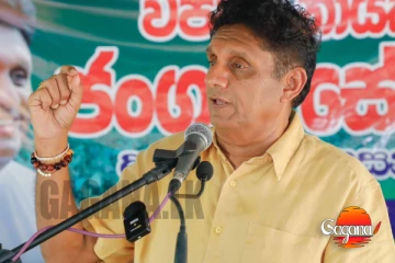 බී ලූණු බදු වංචාව - රජයේ නොහැකියාවෙන් ගොවියා අතරමං