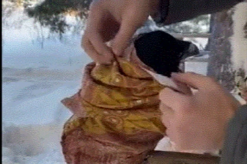 குளிரால் நடுங்கும் காகத்தின் பரிதாப நிலையை கண்டு மனமிறங்கிய நபர்... என்ன நடந்தது தெரியுமா?