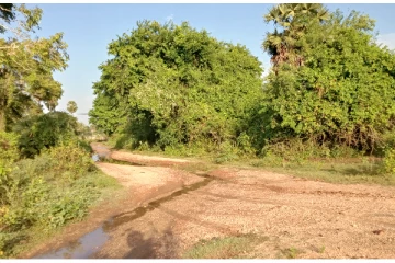 பயணிக்க முடியாத தண்டுவான் குளங்கீழ் வீதி: பாதிக்கப்படும் விவசாய மக்கள்