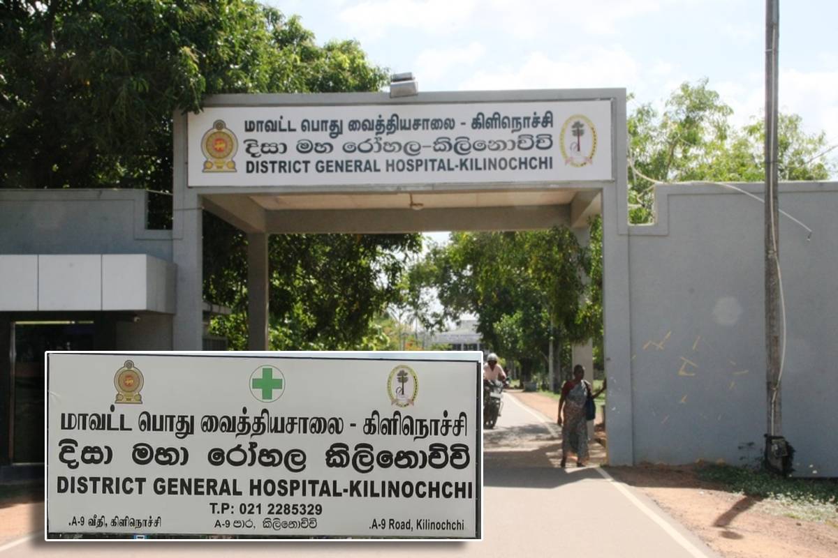 யாழில் இடம்பெற்ற விபத்தில் இளம் பொறியியலாளர் பலி! வெளியான மேலதிக தகவல்கள் | Accident In Jaffna Nallur Engineer Dies Jaffna Th