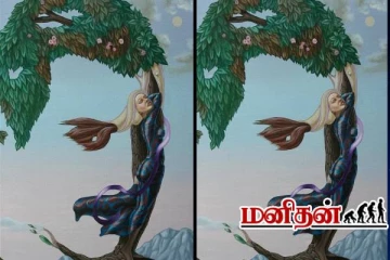 காதலிக்காக எதற்கும் துணிந்தவர்களை கண்டுபிடிக்க ஒரு Test: இந்த படத்தில் தெரிவது என்ன?