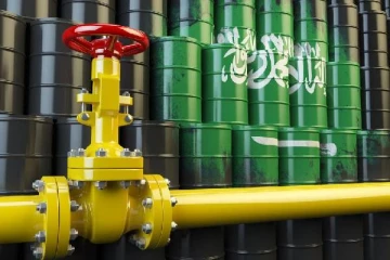 மிகப் பெரிய ஜாக்பாட்டை சொந்தமாக்கிய சவுதி அரேபியா: அதிகாரிகள் சொன்ன விடயம்