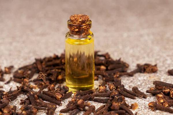 சரும அழகிற்கு கராம்பு எண்ணெய் முகத்தில் தடவலாமா? தோல் நிபுணர் விளக்கம் | Can Apply Clove Oil On Face For Skin Beauty சரும அழகிற்கு கராம்பு எண்ணெய் முகத்தில் தடவலாமா? தோல் நிபுணர் விளக்கம் | Can Apply Clove Oil On Face For Skin Beauty