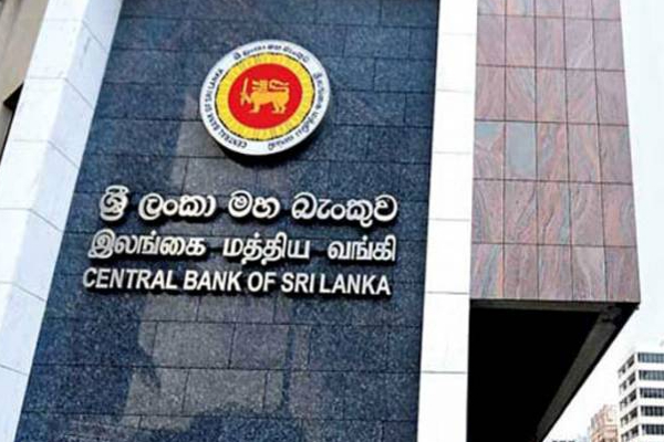 இலங்கைக்கு இந்த துறையின் மூலம் குவியும் டொலர்கள்! | Dollars Accumulated Through For Sri Lanka Tourism