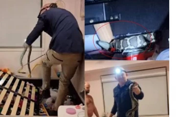 நள்ளிரவில் தூக்கத்தில் இருந்து கண்விழித்த இளம்பெண்! படுக்கைக்கு அடியில் குடியிருந்த பாம்பு.. வீடியோ