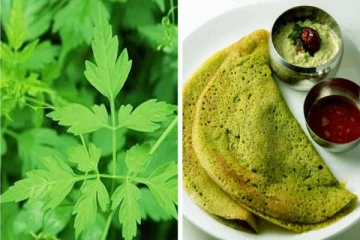 மூட்டு வலியால் அவதியா? தினம் ஒரு முடக்கத்தான் தோசை செய்யலாமே!