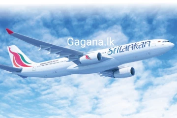 අඩු වියදමින් සතියට දවස් 03ක් අබුඩාබි යන්න මෙන්න විශේෂ අවස්ථාවක්..