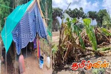 வவுனியாவில் வீதியோரத்தில் கொட்டகைக்குள் வசிக்கும் மக்கள்! விடுக்கப்பட்டுள்ள கோரிக்கை