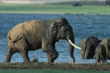 காணாமல்போன சுமேதாவை கண்டுபிடித்த அதிகாரிகள்