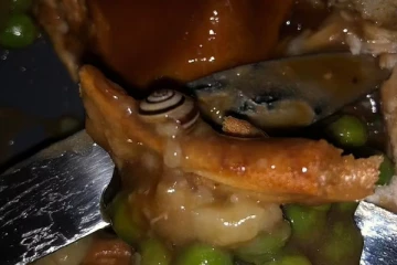 ஆர்டர் செய்த சாப்பாட்டில் கிடந்த நத்தை - ஆத்திரத்தில் பெண் செய்த செயல்