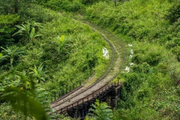 பற்றைக் காடுகளாக மாறும் மலையக தொடருந்து தண்டவாளங்கள்
