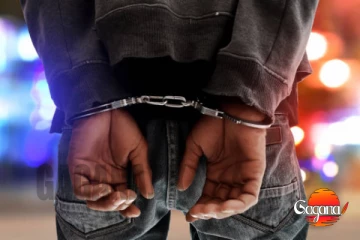 ව්‍යාජ ගුවන් ගමන් බලපත්‍රයක් සමඟ ඉරාන ජාතිකයෙක් මෙරටට