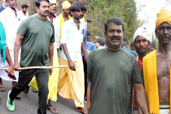 சீமான் மாடு மேய்க்கும் போராட்டம்