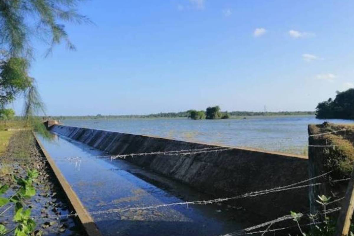 கிளிநொச்சி கனகாம்பிகைக் குளத்தில் நீரில் மூழ்கியவர் சடலமாக மீட்பு! | Man Drowned In Kilinochchi Kanakambikai Pond Died