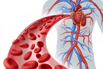 இரத்த சோகை பிரச்சனைக்கு  எளிய முறையில் தீர்வு காணுவது எப்படி?