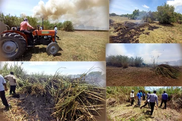 போரதீவுப்பற்றில் ஏற்பட்ட தீப்பரவலை கட்டுப்படுத்தும் நடவடிக்கை தொடர்ந்தும் முன்னெடுப்பு (Photos)