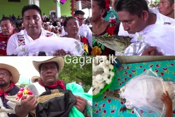 කිඹුලෙකු සමඟ විවාහ වූ අපූරු නගරාධිපතිවරයෙක්..(PHOTOS)