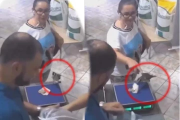 பறந்துவந்த பறவை! அசால்ட்டாக பணத்தை திருடிச் சென்ற காட்சி