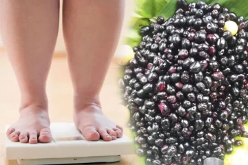 மின்னல் வேகத்தில் எடை குறைக்கும் நாவற் பழம்! எவ்வளவு சாப்பிடலாம் தெரியுமா?