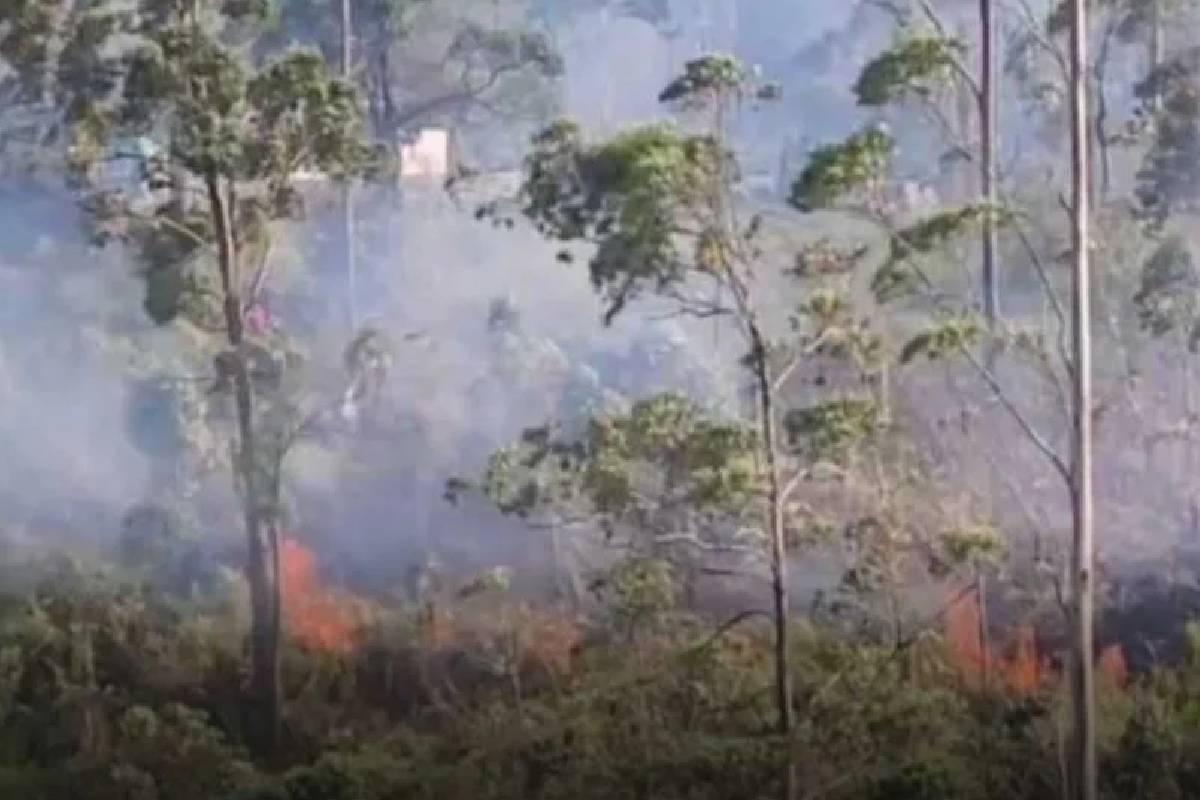 காசல்ரீ நீர்த்தேக்க அணைக்கட்டுக்கு அருகே பாரிய தீப்பரவல் | Massive Fire Breaks Near Castlereagh Reservoir Dam காசல்ரீ நீர்த்தேக்க அணைக்கட்டுக்கு அருகே பாரிய தீப்பரவல் | Massive Fire Breaks Near Castlereagh Reservoir Dam