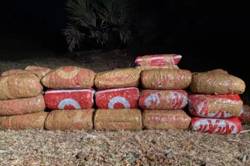 யாழில் பெரும் தொகை கேரள கஞ்சா மீட்பு