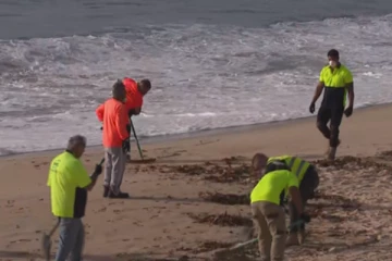 சிட்னி கடற்கரைகளில் உருண்டை வடிவிலான மர்மப்பொருள்