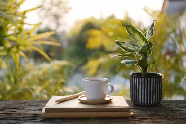 காலை எழுந்ததும் இதில் ஒரு பானத்தை குடித்து பாருங்க... கண்கூடாக தெரியும் உடல் மாற்றம் | Drink Of This When You Wake Up In The Morning