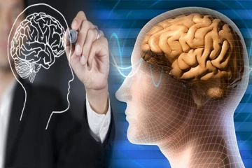 மூளையை குழப்பும் செயற்பாடுகள் என்ன தெரியுமா? தவறியும் செய்யாதீர்கள்