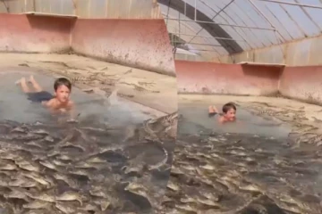 முதலைகளுடன் சிறுவன் போட்ட குளியல்... புல்லரிக்க வைக்கும் காட்சி