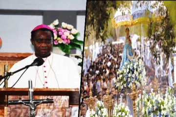 மடு ஆலய திருவிழாவில் பாப்பரசரின் இலங்கை பிரதிநிதி