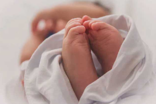 தொடருந்து பெட்டியிலிருந்து மீட்கப்பட்ட சிசுவின் சடலம் | Baby S Body Found Inside A Train Carriage