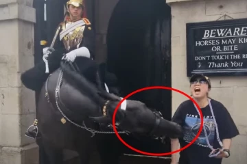 எச்சரிக்கையை கவனியுங்கள்! லண்டனில் கிங்ஸ் கார்டு குதிரையிடம் கடி வாங்கிய பெண்மணி