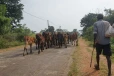 யாழ்ப்பாணம் – கிளிநொச்சி வீதி விபத்தில் மூதாட்டி உயிரிழப்பு