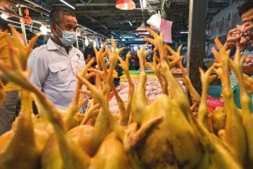 உலக நாடுகளுக்கு உணவு ஏற்றுமதியை தடை செய்த மேலும் ஒரு ஆசிய நாடு