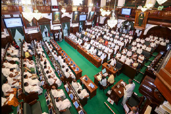 tn assembly