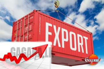 මුල් මාස පහේ අපනයන ආදායම ඉහළට