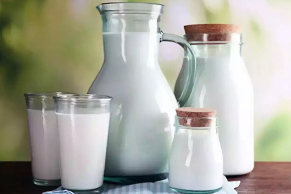 க்ரீன் டீ நல்லதா! பால் நல்லதா! வெளியான நன்மை தகவல்! | Green Tea Or Milk Has Many Benefits