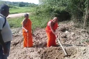 හිටි හැටියේ නැතිවූ පඬු කරඳ ගස තිබෙන තැන..?