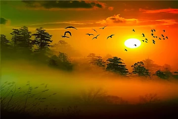 பிரம்ம முகூர்த்த்தில் எழுந்திருப்பதால் உங்களுக்கு ஏற்படும் நன்மைகள் என்னென்ன தெரியுமா!