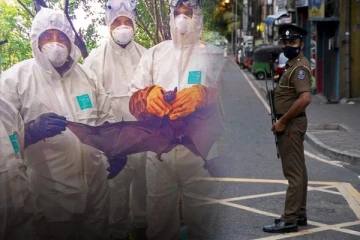 இலங்கையில் நிபா வைரஸ் குறித்து சுகாதார பிரிவு வெளியிட்ட தகவல்