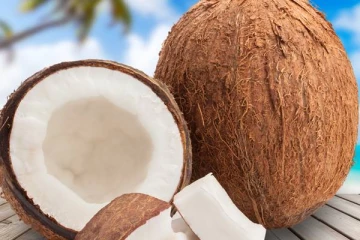 World Coconut Day: தேங்காயை பற்றி அறிந்து கொள்ள வேண்டிய முக்கிய தகவல்கள்
