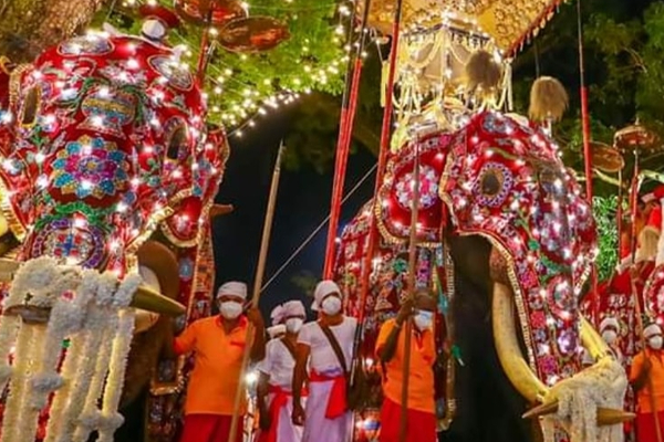 கண்டி பெரஹராவுக்குள் வாளுடன் புகுந்து பரபரப்பை ஏற்படுத்திய கொழும்பு நபர் | Kandy Esala Perahera 2023 Elephant