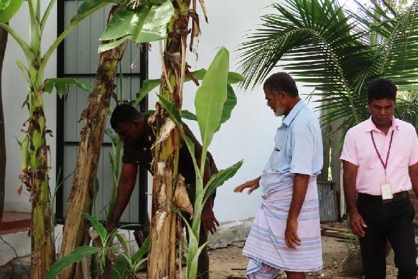 மட்டக்களப்பு மாவட்டத்தில் டெங்கு ஒழிப்பு வேலைத்திட்டம் (Photo) | Dengue Eradication Program Batticaloa District