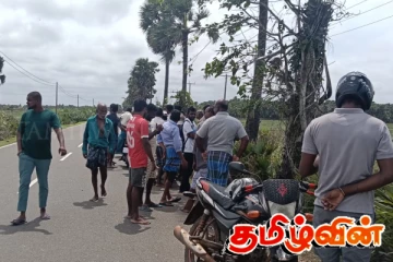 மன்னாரில் இளைஞர்களால் மடக்கிப் பிடிக்கப்பட்ட மூவர்