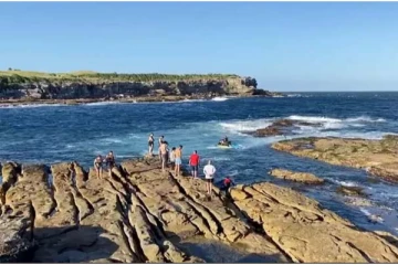 நீந்திக்கொண்டிருந்த நபரை இழுத்துச் சென்ற சுறா: 60 ஆண்டுகளுக்கு பின்பு அரங்கேறிய கோர சம்பவம்