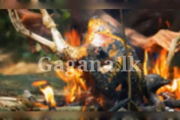 කඳ සුරිදුගේ වාහනයට හදි කළ විදේශිකයා ඇතුළු ආදිවාසීන් පස්දෙනාට සිදුවූ දේ..