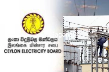 විදුලි බල මණ්ඩලයේ සේවකයෙක්ට සිදු වූ අවාසනාවන්ත ඉරණම..