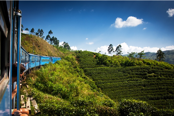 தொடருந்து கட்டண உயர்வு! முடிவுகள் நாளை - ஐபிசி தமிழ்